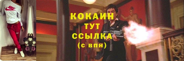 спайс Алзамай