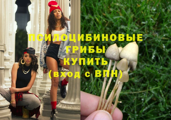 ECSTASY Абаза
